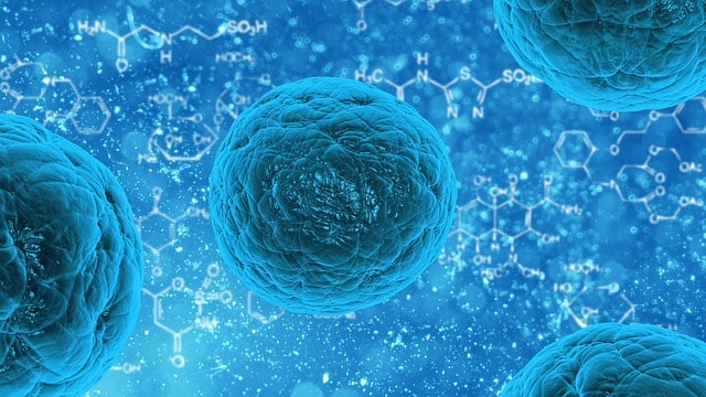 Positive and negative Impacts of Stem Cells