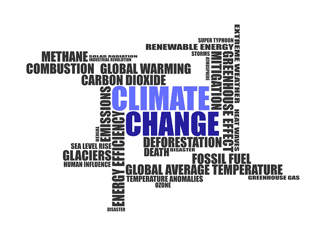 Positive and negative impact of climate change