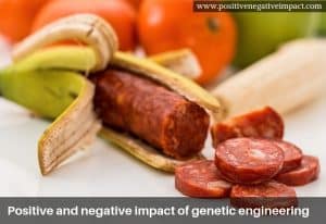 Positive and negative impact of genetic engineering