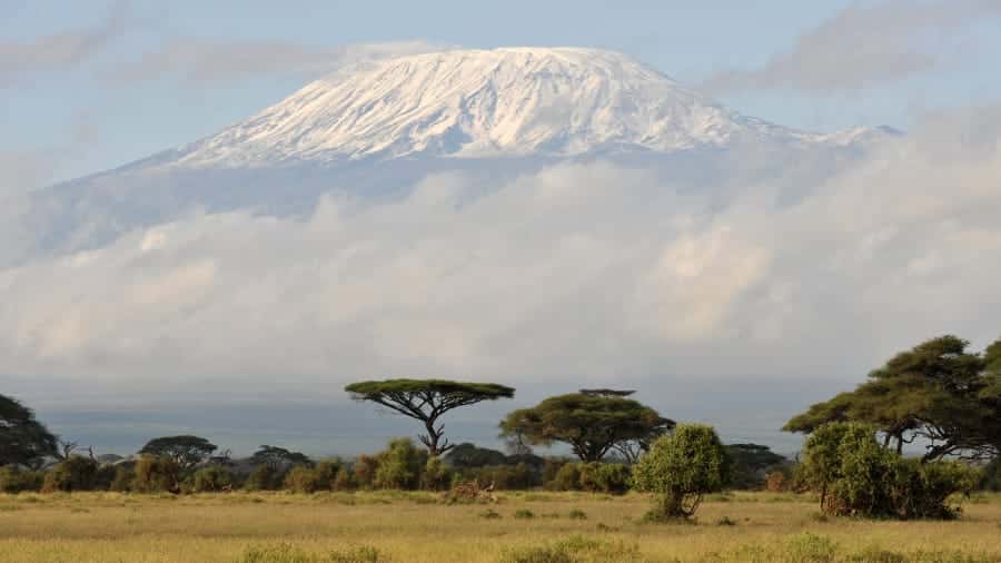 Kilimanjaro is the tallest mountain in Africa and the tallest free-standing mountain in the world.  